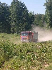 Bartoszyccy strażacy ćwiczyli gaszenie pożarów lasu